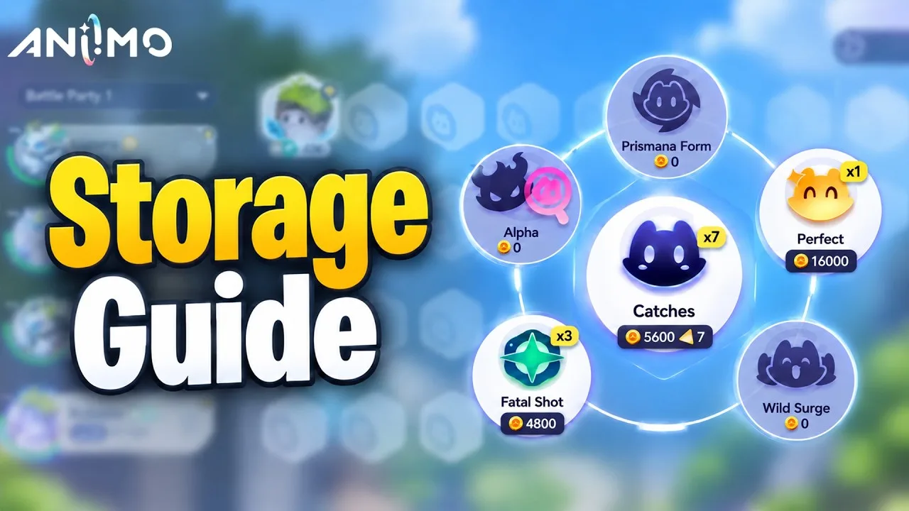 Aniimo Storage Box Guide: Sorting, Filters and Auto Release