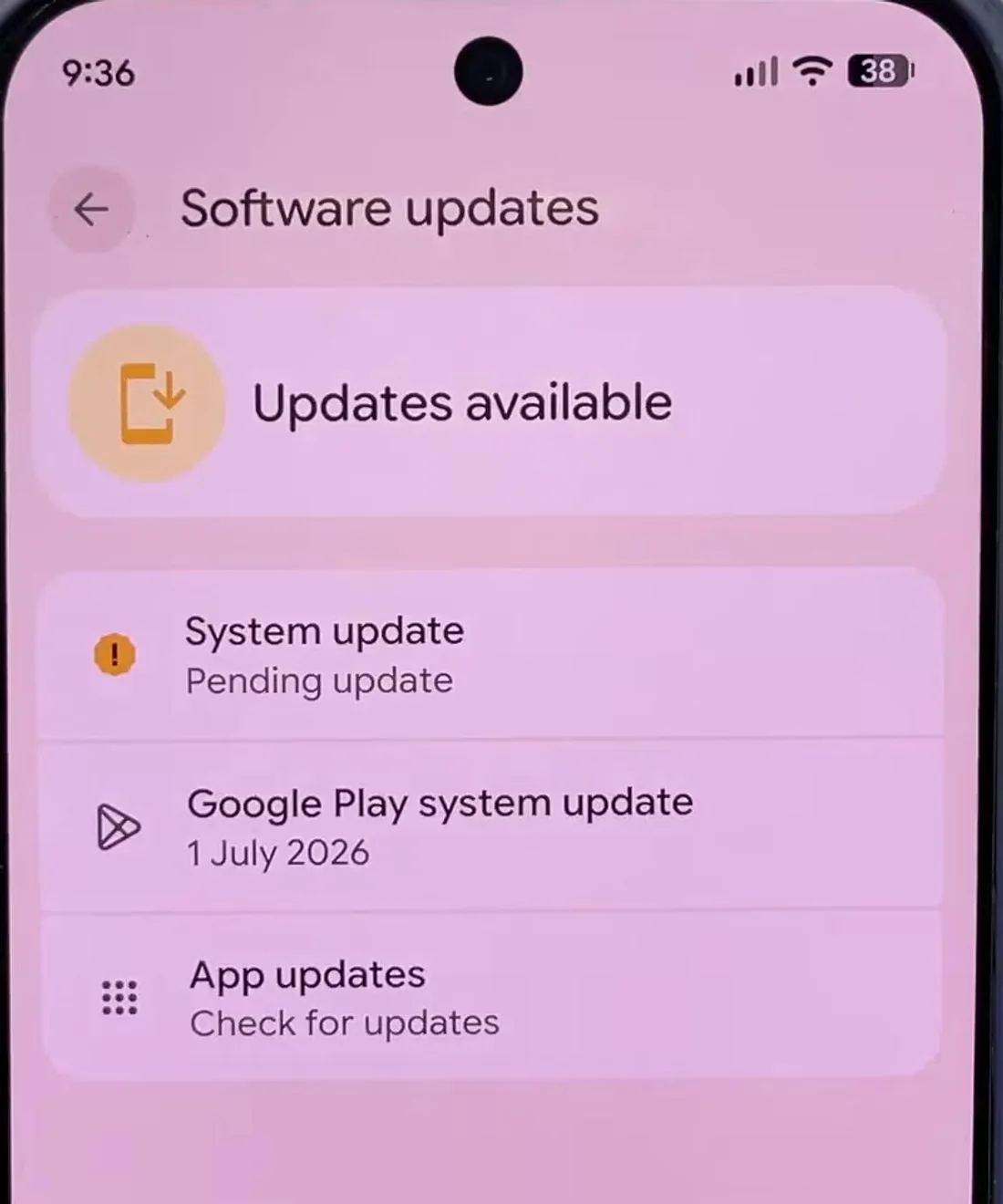 The Android Software updates screen checked before installing Aniimo, with Updates available at the top, a System update marked Pending update and a Google Play system update dated 1 July 2026