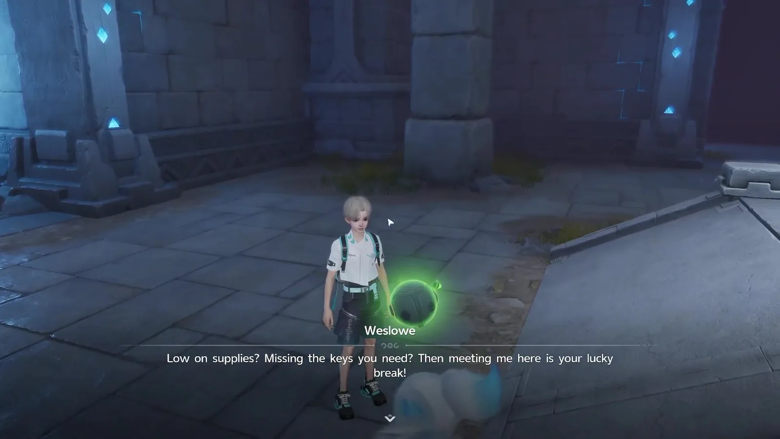 Weslowe the Mysterious Vendor standing in a corridor of the Aniimo Lost Sanctum, saying Low on supplies, Missing the keys you need, Then meeting me here is your lucky break