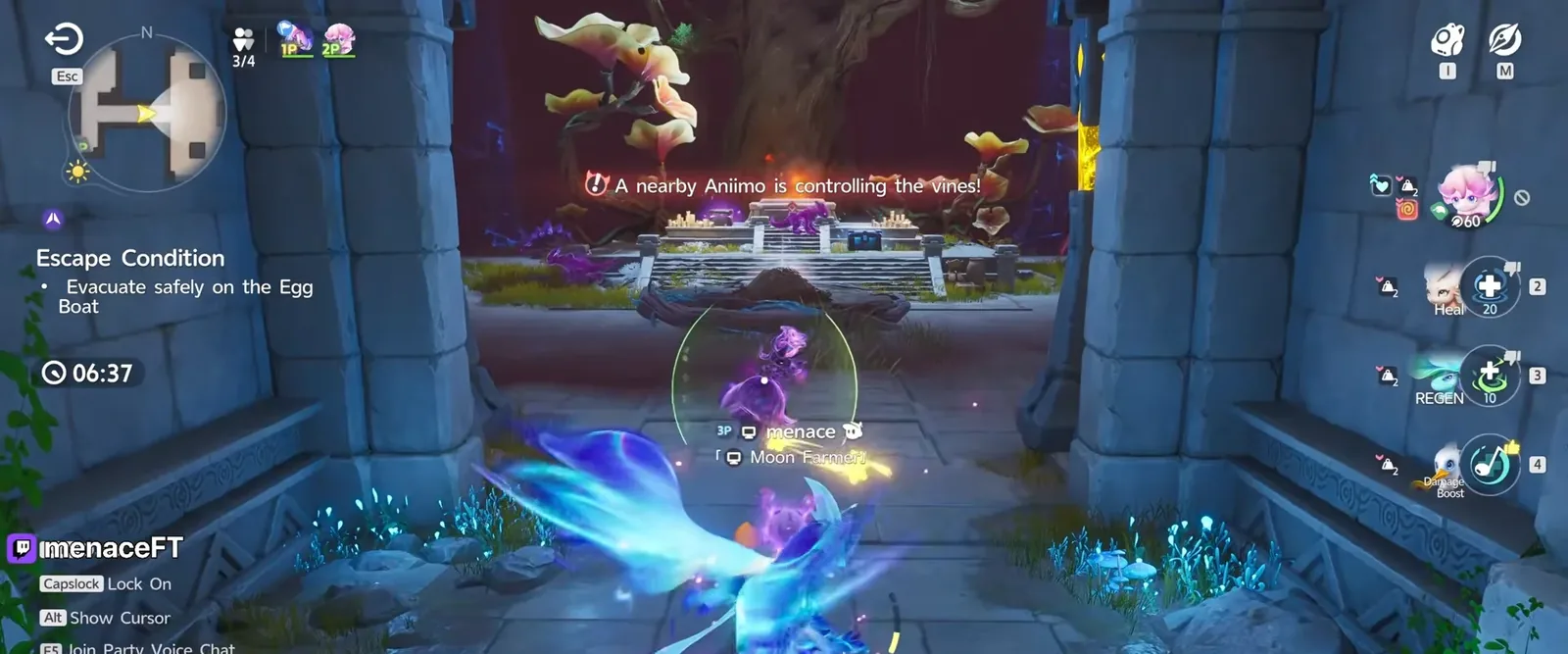 Aniimo Egg Heist warning A nearby Aniimo is controlling the vines, Irisalis in a stone corridor with the timer at 06:37