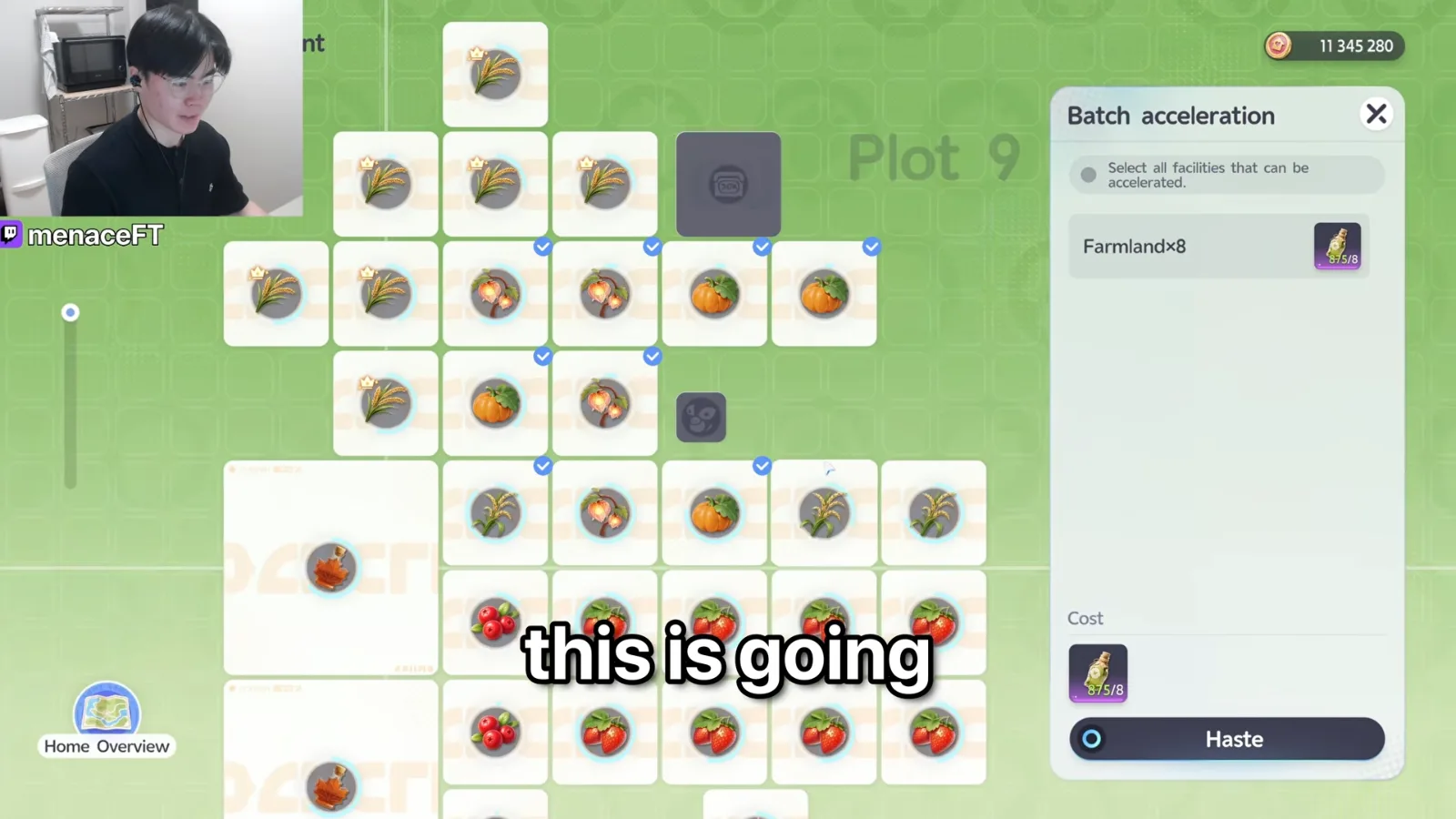 Aniimo Batch acceleration panel over Home Management, Farmland x8 selected on four Magic Pumpkin and four Memory Lanternfruit plots, cost 8 Plant Growth Tonic, Haste