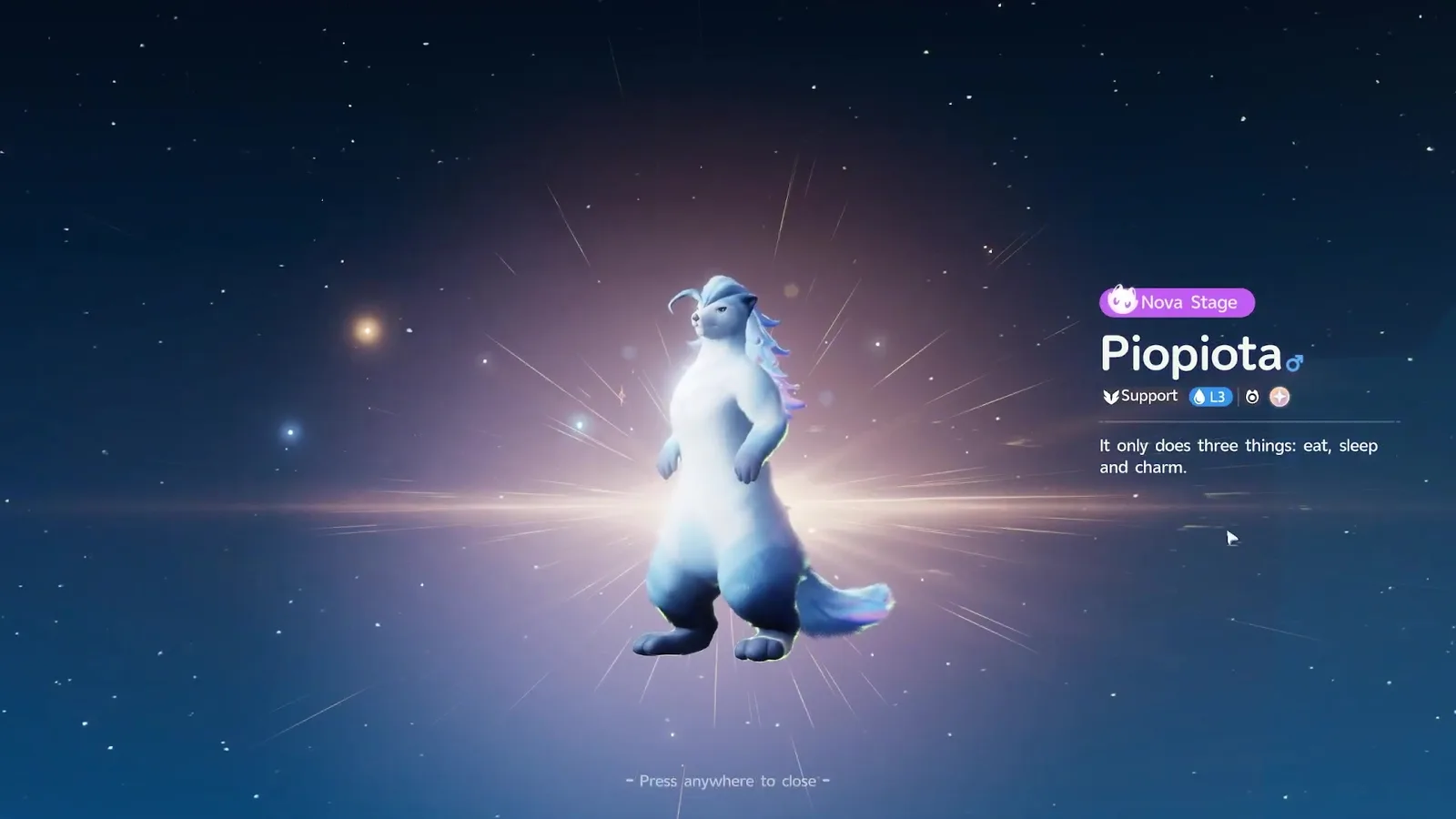 Aniimo evolution reveal of a male Piopiota, Nova Stage, Support, with its Aniilog line It only does three things: eat, sleep and charm