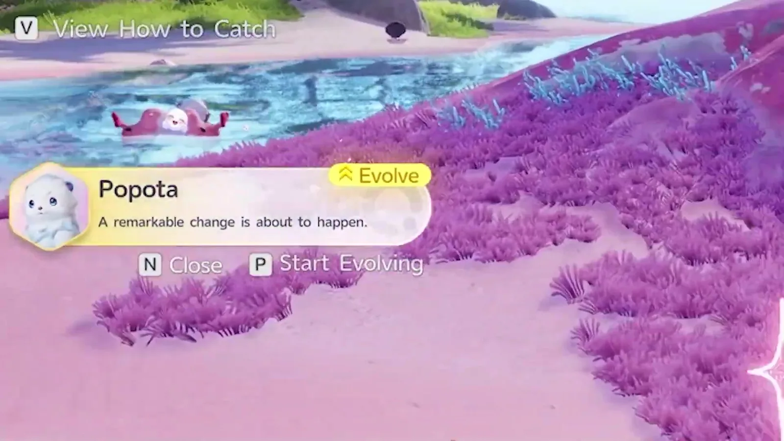 Aniimo field prompt for Popota reading A remarkable change is about to happen, with a yellow Evolve tag and the options N Close and P Start Evolving