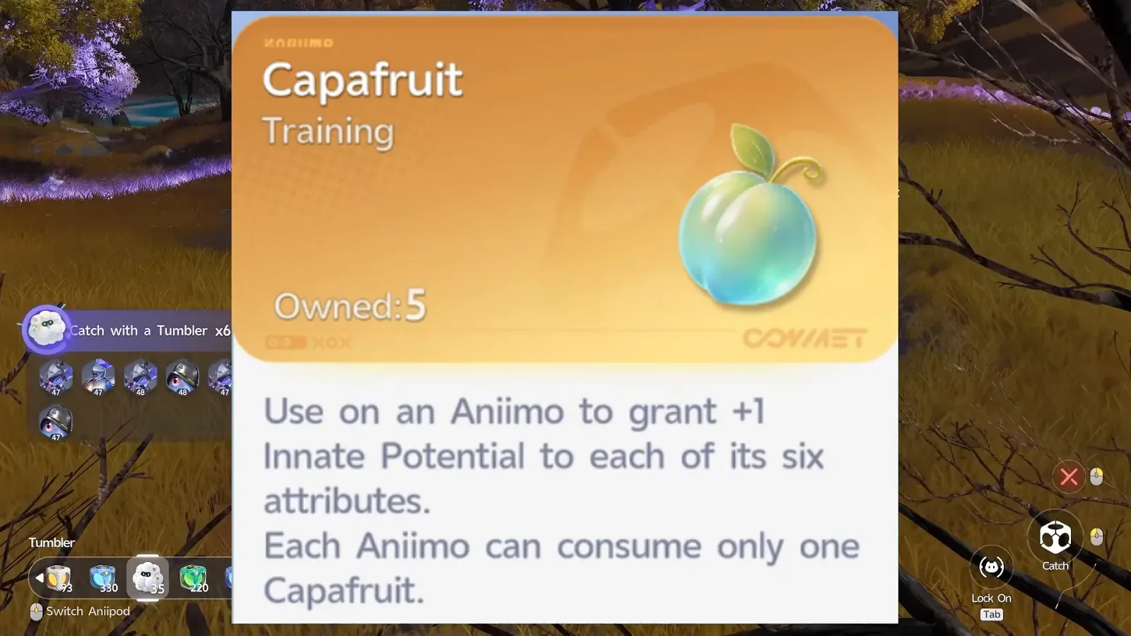 Aniimo Capafruit item card, Training category, Owned 5, granting +1 Innate Potential to each of six attributes, only one per Aniimo