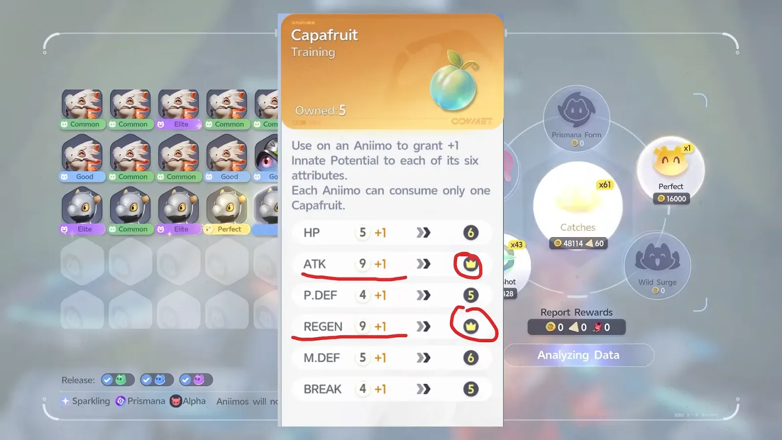 Aniimo Capafruit preview on a 9/9 roll: ATK 9 and REGEN 9 each plus one reach a crown icon at 10, HP and M.DEF 5 to 6, P.DEF and BREAK 4 to 5