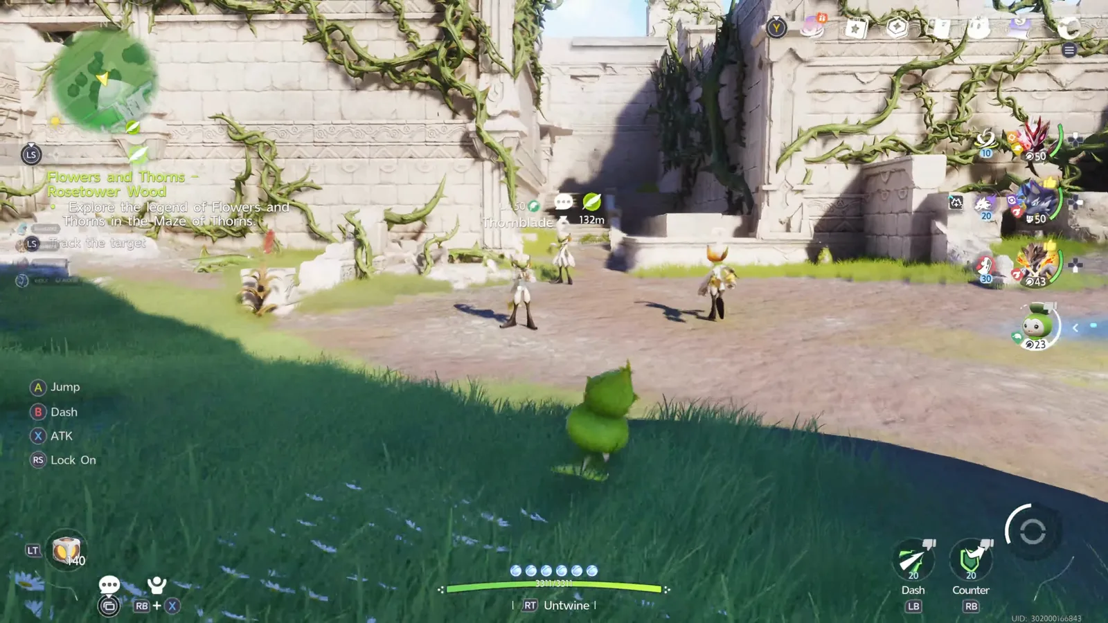 Aniimo Pathfinder twined as a Budsquire walking up to the Maze of Thorns entrance, with white Thornblade guards waiting among the ruins ahead