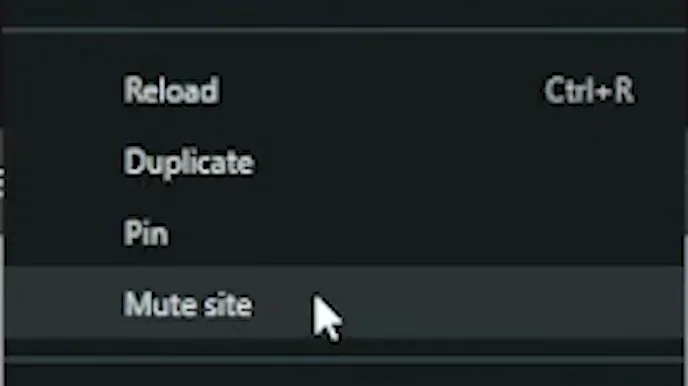 A browser tab context menu with Reload, Duplicate, Pin and Mute site, the Mute site row highlighted under the cursor