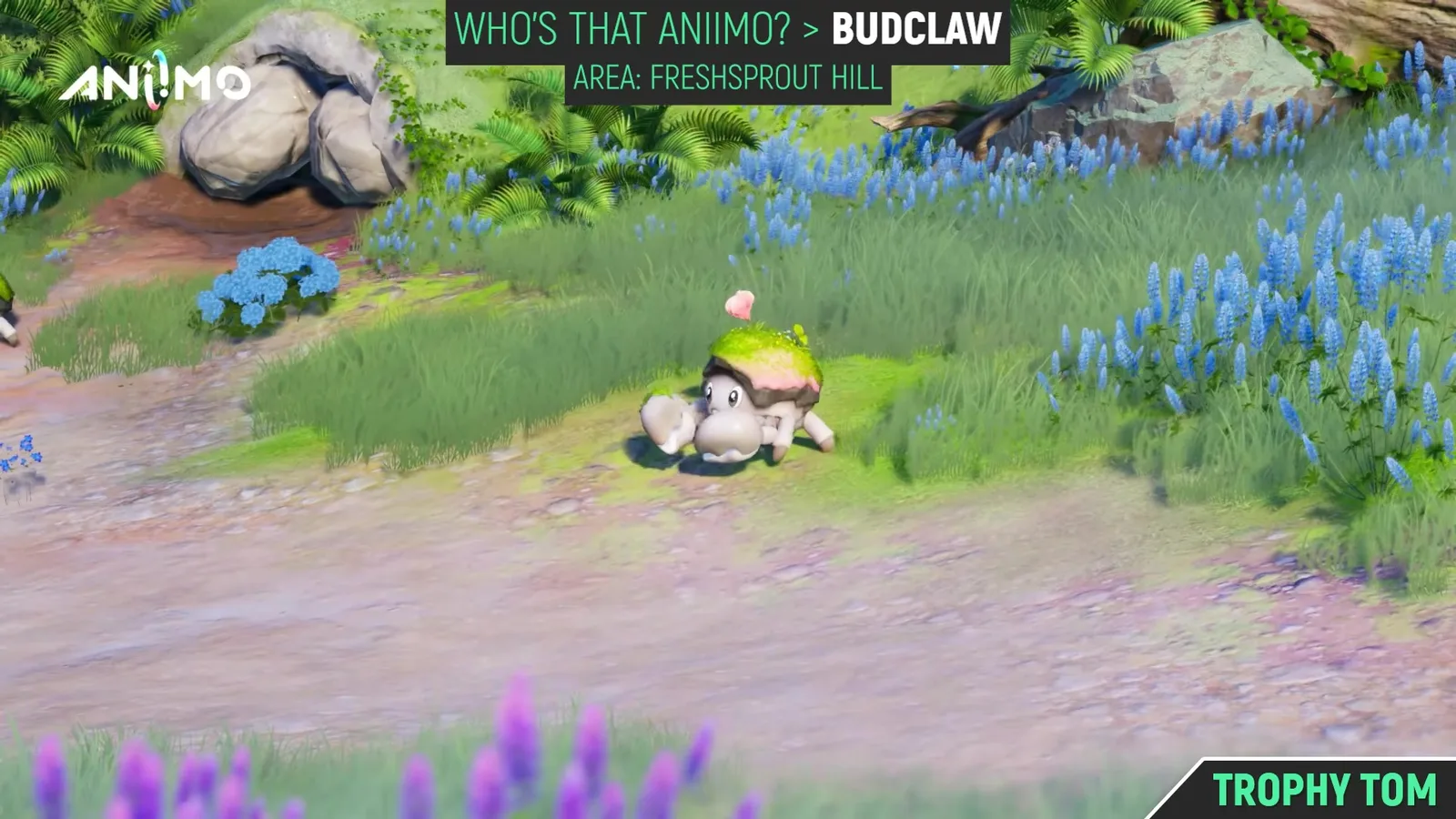 A Budclaw sitting on the dirt path at Freshsprout Hill in Aniimo, its mossy pink and green shell lit by the sun, with boulders and blue flowers behind