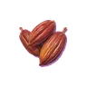 Cocoa