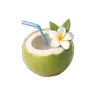 Coconut Cooler