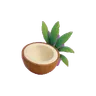 Coconut