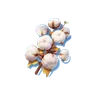 Cotton