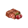Cranberry Chocolate