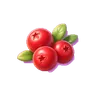 Cranberry