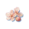 Dried Cherry Blossom