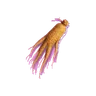 Dried Ginseng