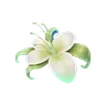 Growth Flower