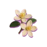 Orange Flower
