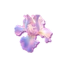 Petals