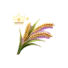 Premium Wheat