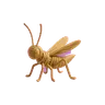 Woven Toy